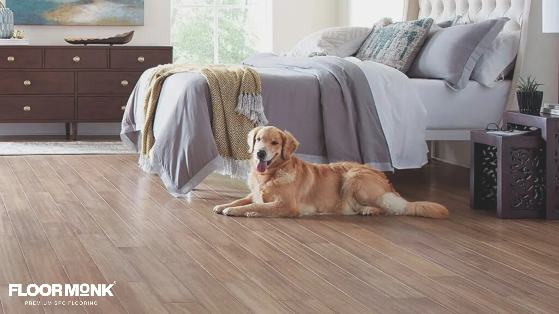 What to Consider When Choosing Pet-Friendly Flooring