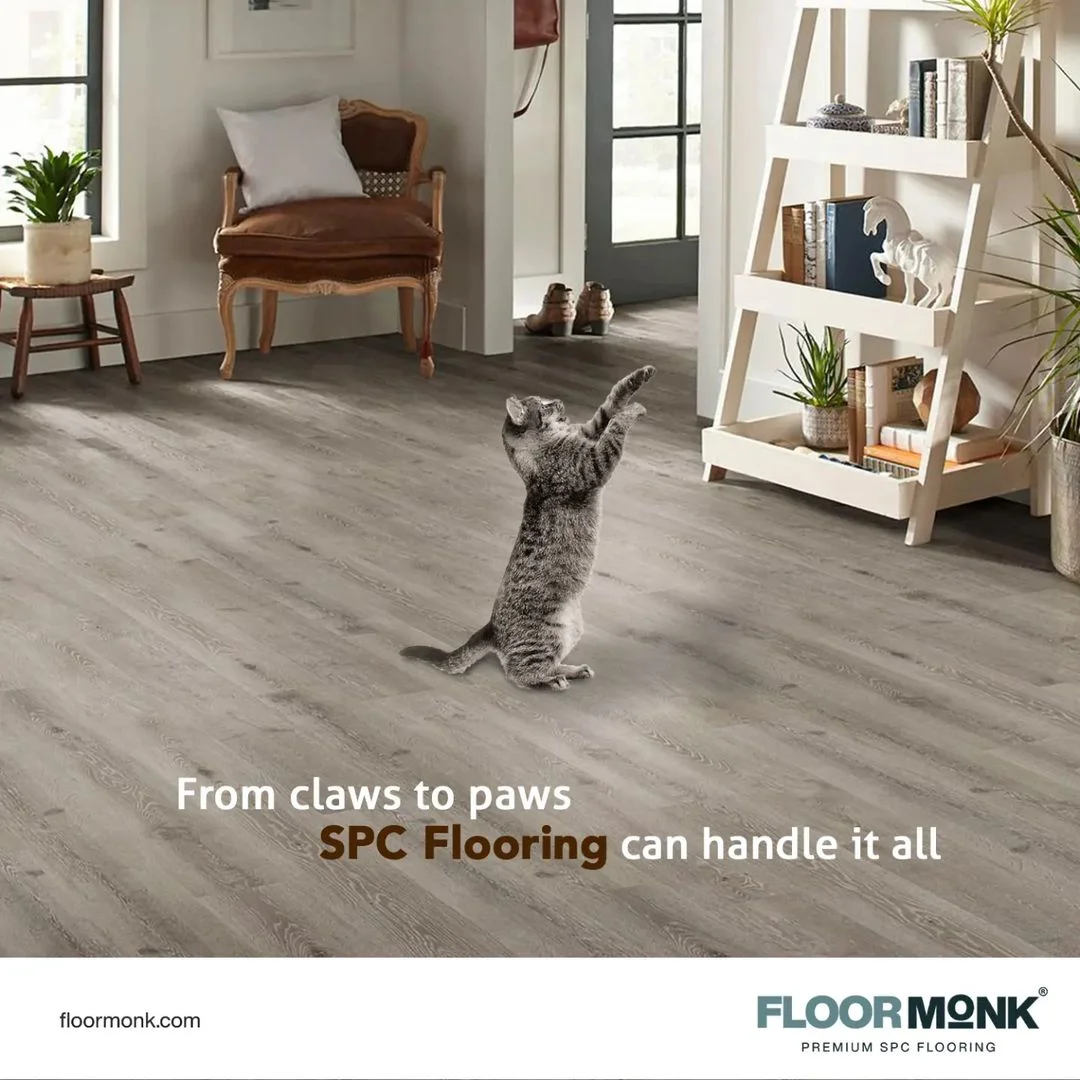 SPC Flooring: Why It is Considered the Best Pet-Friendly Flooring