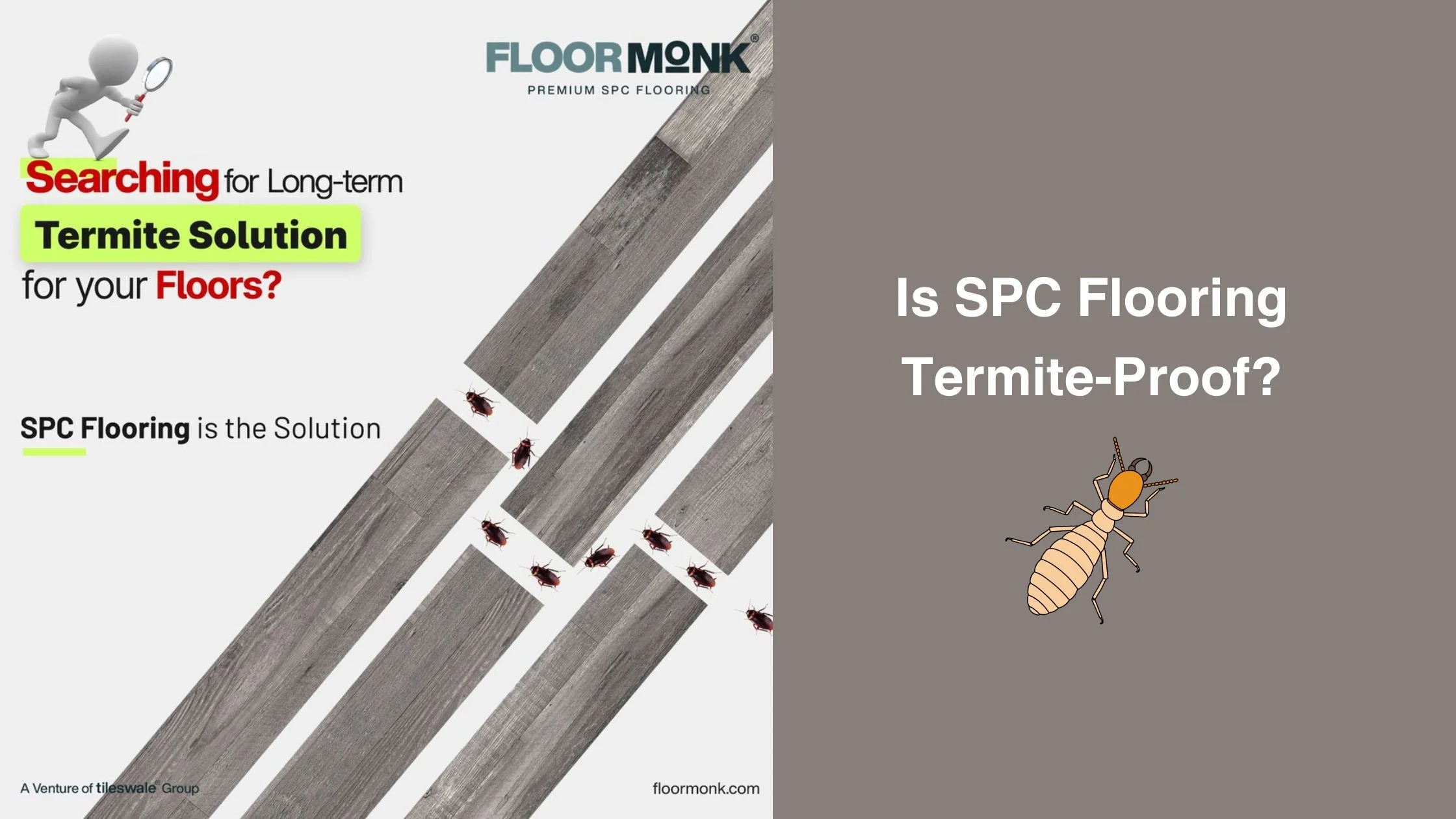 Is SPC Flooring Termite-Proof?
