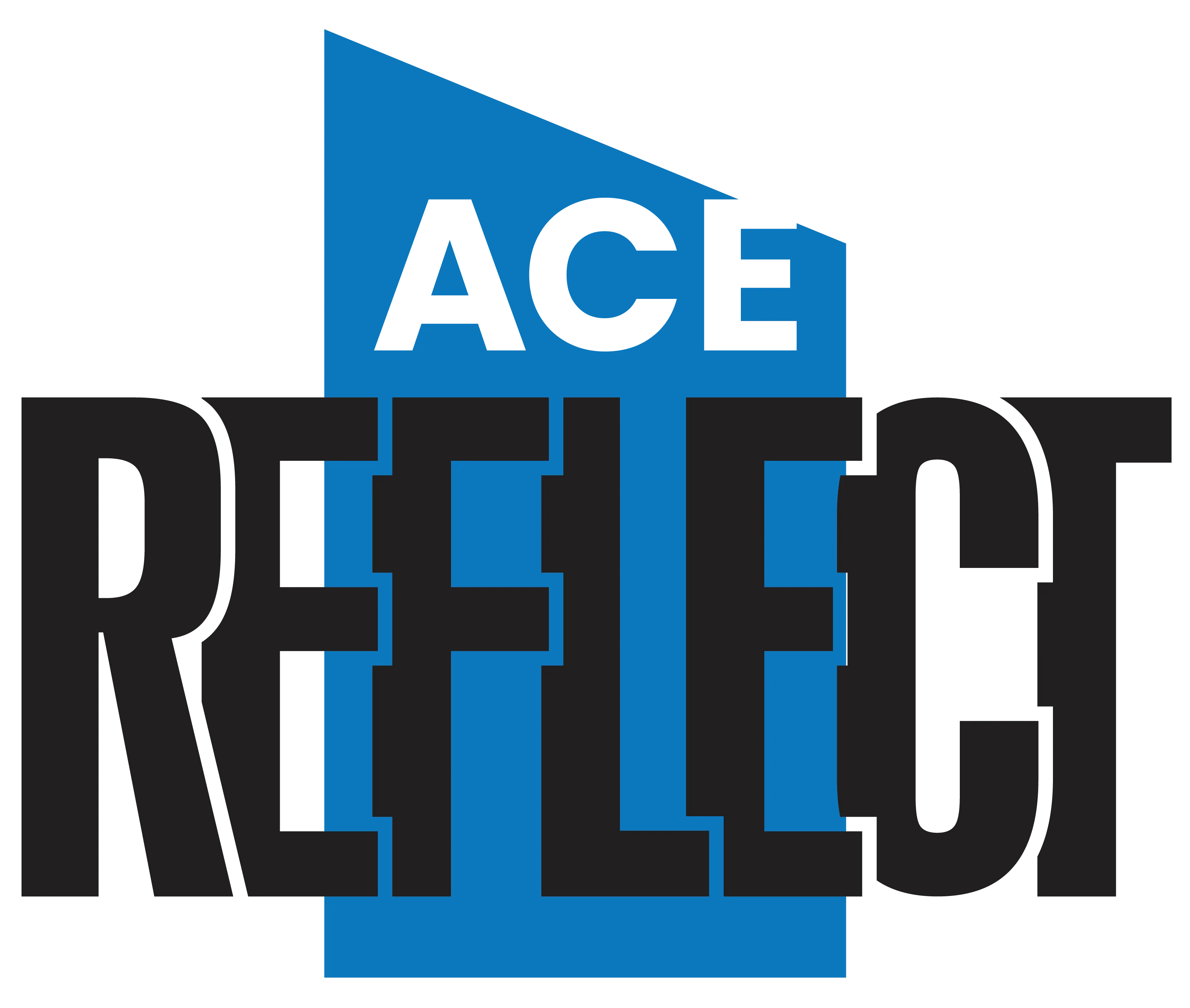 ACE Reflect Raipur 2025
